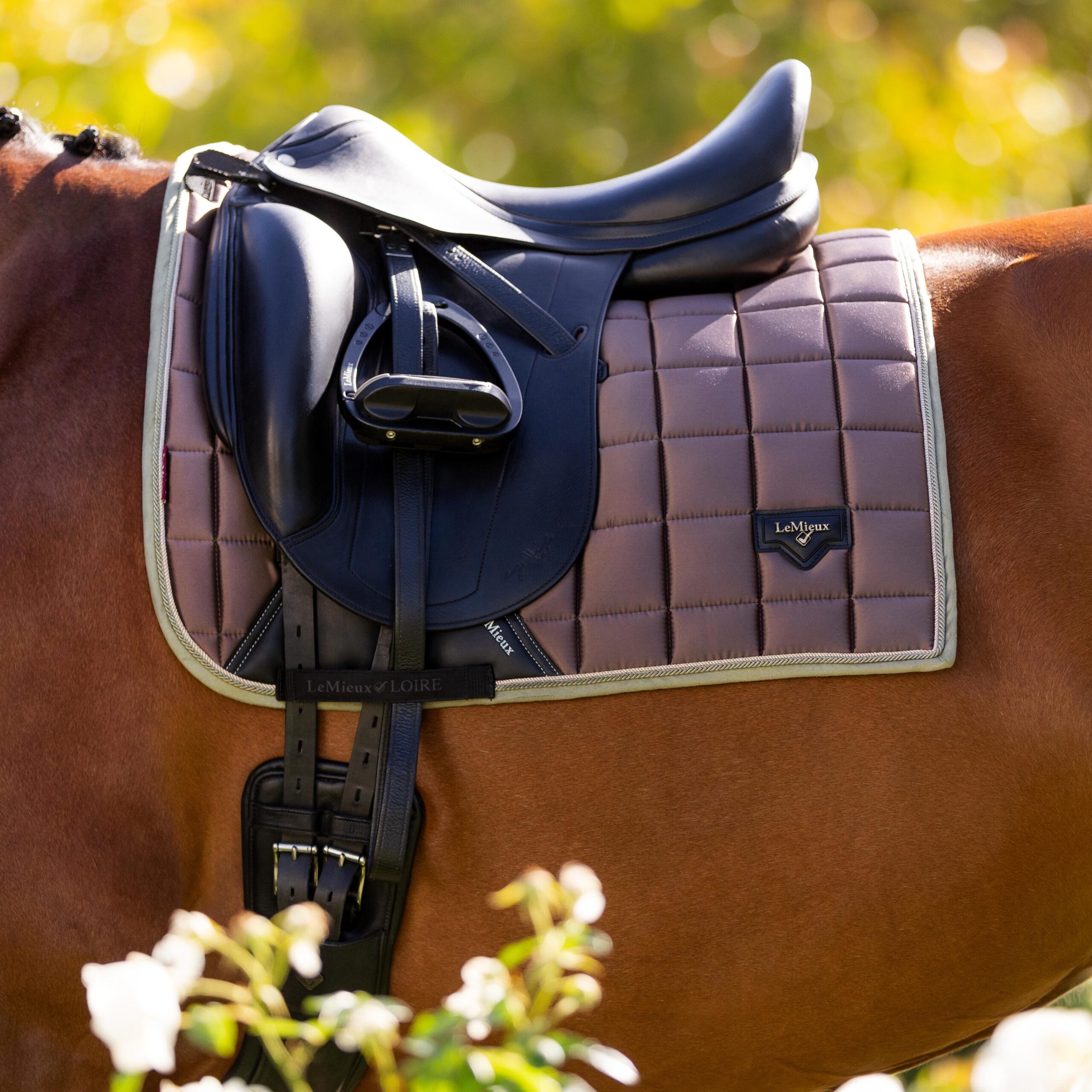 IT04100 lifestyle loireclassicdressagesquare walnut 23 1 1 scaled